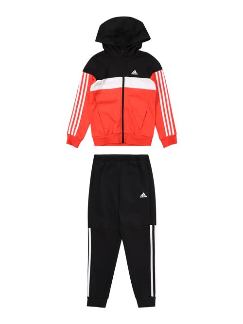 ADIDAS SPORTSWEAR Træningsdragt  neonrød / sort / hvid