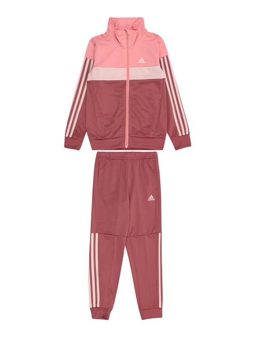 ADIDAS SPORTSWEAR Træningsdragt 'Tiberio'  lys pink / mørk pink / hvid