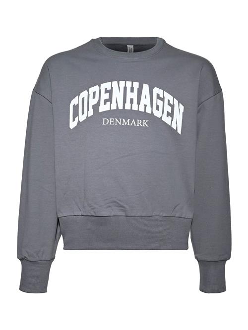 BLUE EFFECT Sweatshirt  grå / hvid