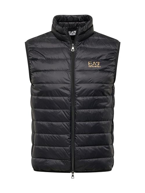 EA7 Emporio Armani Vest  guld / sort