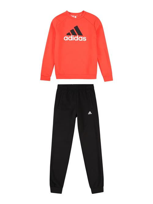 ADIDAS SPORTSWEAR Træningsdragt  neonorange / sort / hvid