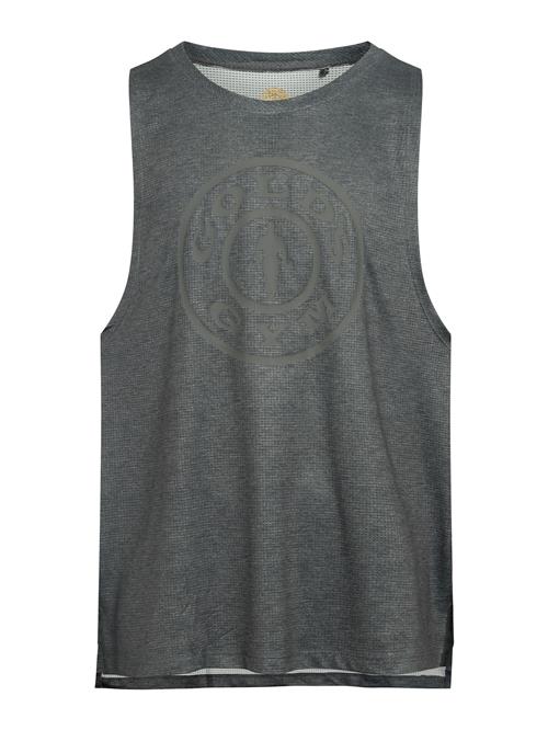 GOLD´S GYM APPAREL Bluser & t-shirts 'PIERCE'  grå