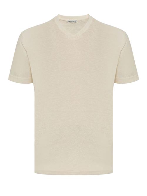 Se Dandalo Bluser & t-shirts  beige / mørkegrå / khaki ved About You