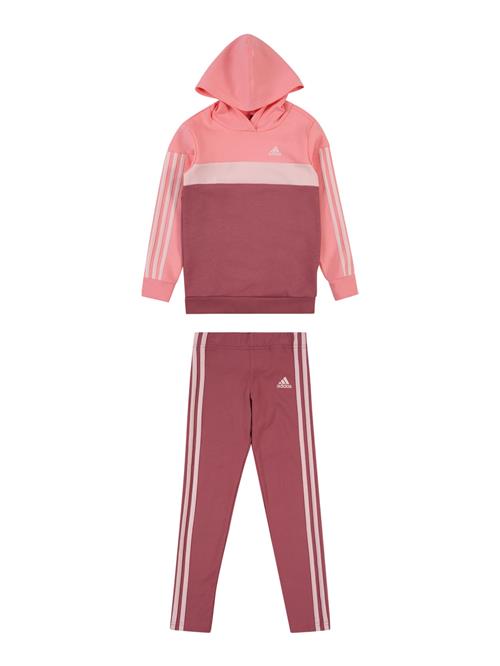 Se ADIDAS SPORTSWEAR Træningsdragt  lyserød / gammelrosa / brandrød ved About You