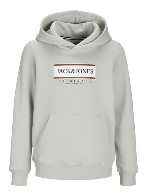 Jack & Jones Junior Sweatshirt 'JORFrederiksberg'  grå / mørkerød / hvid