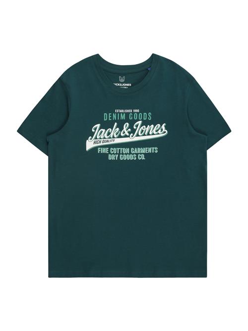 Jack & Jones Junior Shirts  grøn / smaragd / hvid