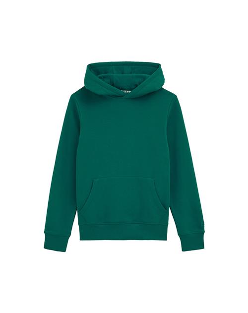 WE Fashion Sweatshirt  smaragd