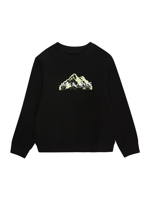 Jack & Jones Junior Sweatshirt  pastelgrøn / sort / hvid