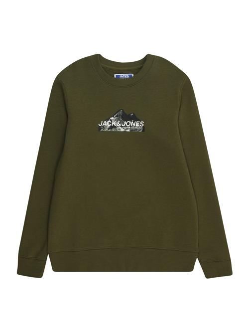 Jack & Jones Junior Sweatshirt  oliven / sort / hvid