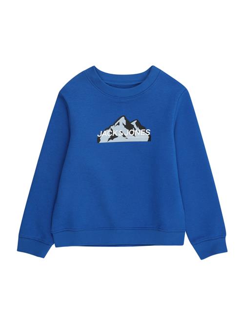 Jack & Jones Junior Sweatshirt  røgblå / royalblå / sort / hvid