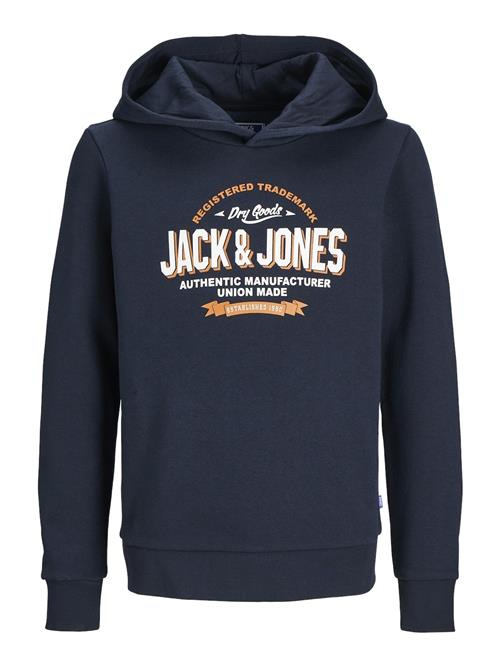 Jack & Jones Junior Sweatshirt  navy / orange / hvid