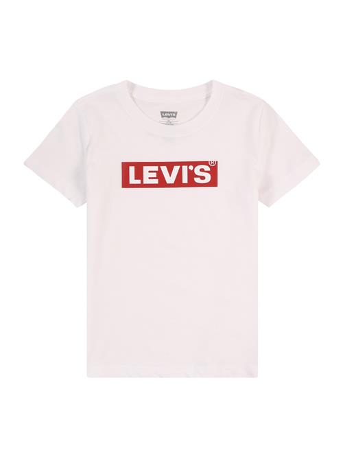 Levi's Kids Shirts  rubinrød / uldhvid