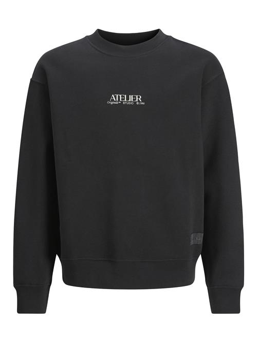 Jack & Jones Junior Sweatshirt  blå / grå / sort / hvid