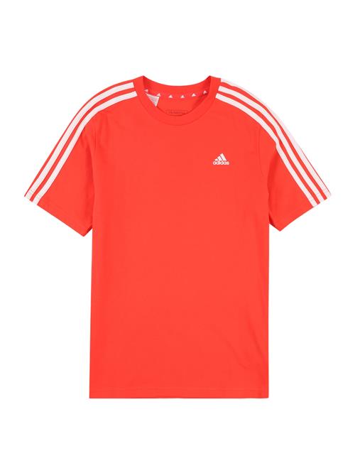 Se ADIDAS SPORTSWEAR Funktionsskjorte 'Essentials'  orangerød / hvid ved About You