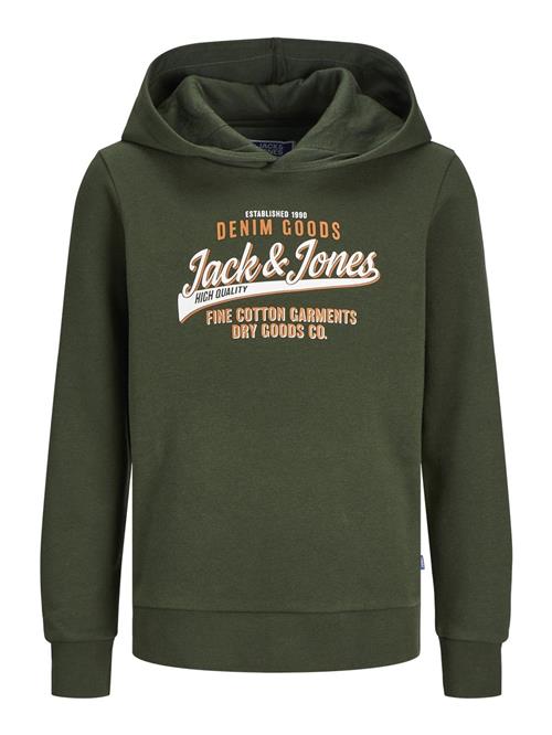 Se Jack & Jones Junior Sweatshirt  grøn / orange / hvid ved About You