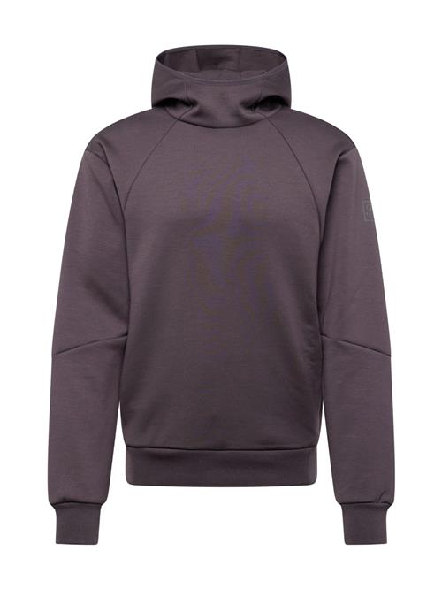 Champion Authentic Athletic Apparel Sweatshirt  grå / mørkegrå