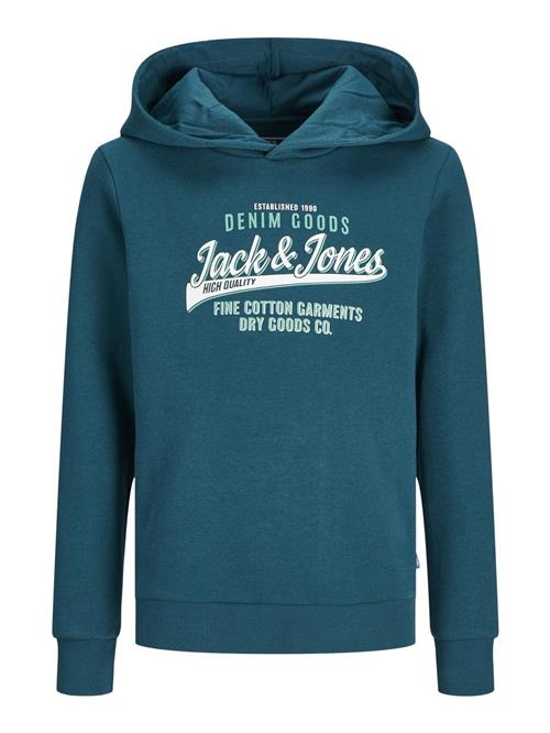 Jack & Jones Junior Sweatshirt  petroleum / hvid