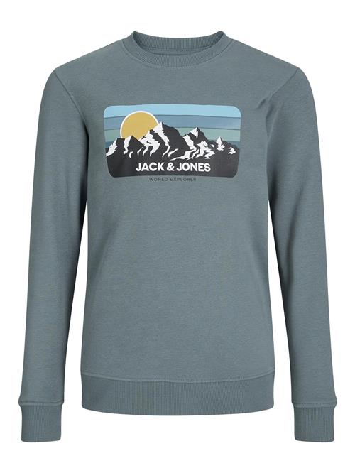 Jack & Jones Junior Sweatshirt  blå / gul / sort