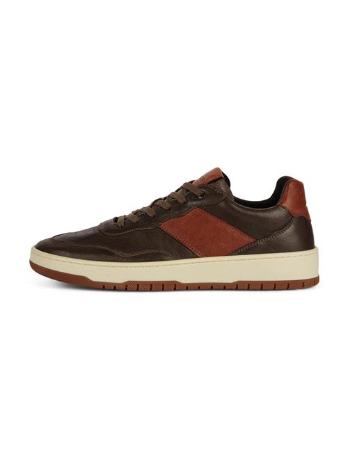 Boggi Milano Sneaker low  cognac / mørkebrun