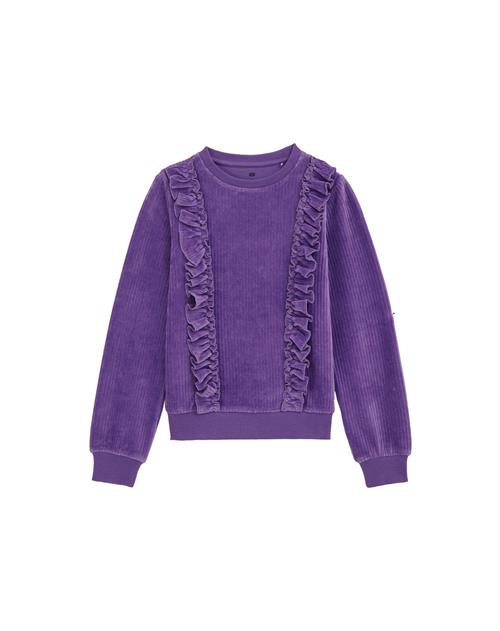 WE Fashion Sweatshirt  lilla