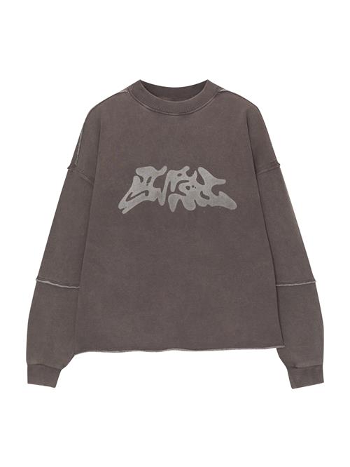 Pull&Bear Sweatshirt  mudderfarvet / lysegrå