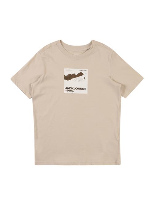 Jack & Jones Junior Shirts 'JCOART'  beige / brun / hvid