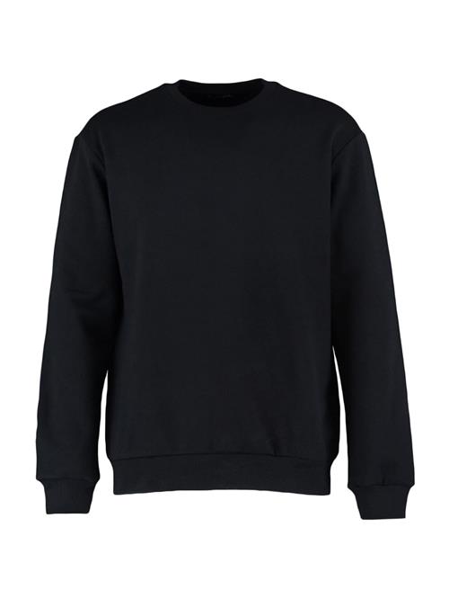 Trendyol Sweatshirt  sort