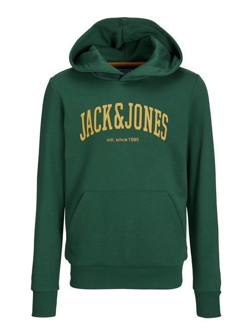 Jack & Jones Junior Sweatshirt 'JJEJosh'  gul / gran