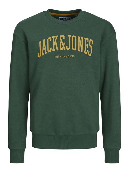 Jack & Jones Junior Sweatshirt 'JJEJosh'  curry / mørkegrøn