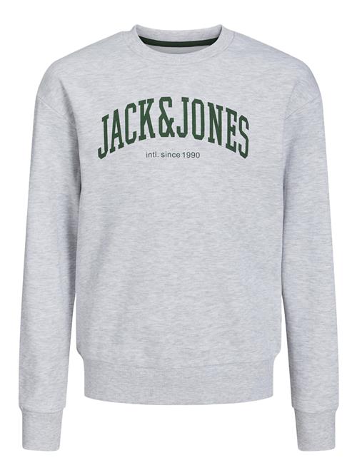 Jack & Jones Junior Sweatshirt 'JJEJosh'  grå-meleret / gran