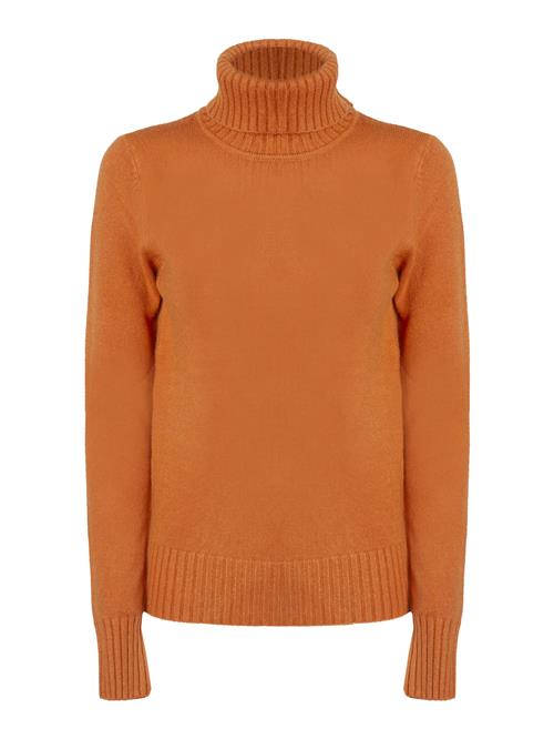 Influencer Pullover  orange