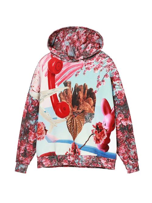 Se Desigual Sweatshirt  blandingsfarvet ved About You