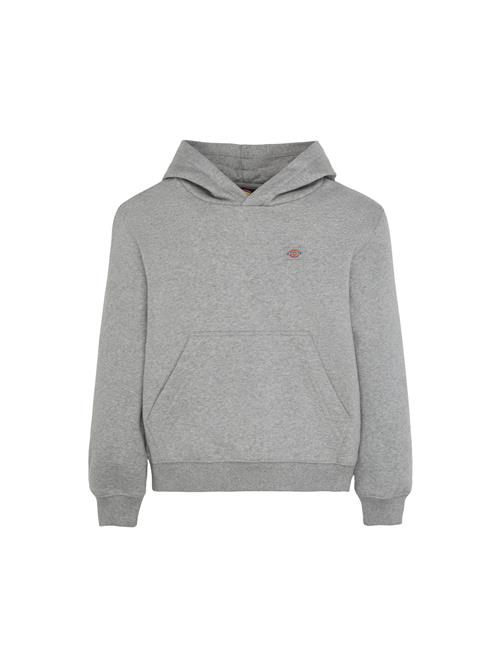 Se DICKIES Sweatshirt 'Youth Oakport'  grå ved About You