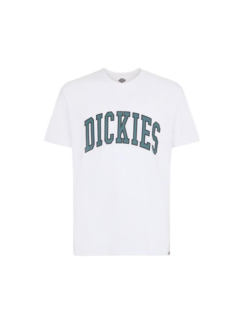 DICKIES Bluser & t-shirts 'AITKIN'  grøn / sort / hvid