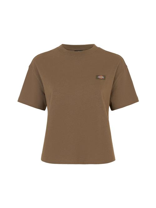 DICKIES Shirts 'OAKPORT'  brun