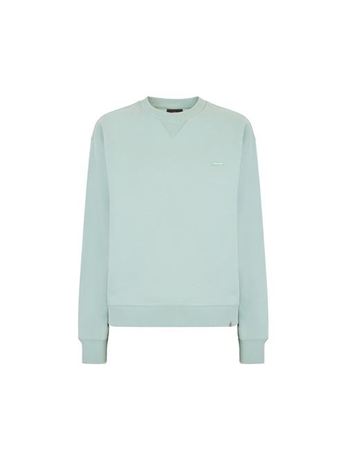 Se DICKIES Sweatshirt 'CLANCY'  mint / hvid ved About You