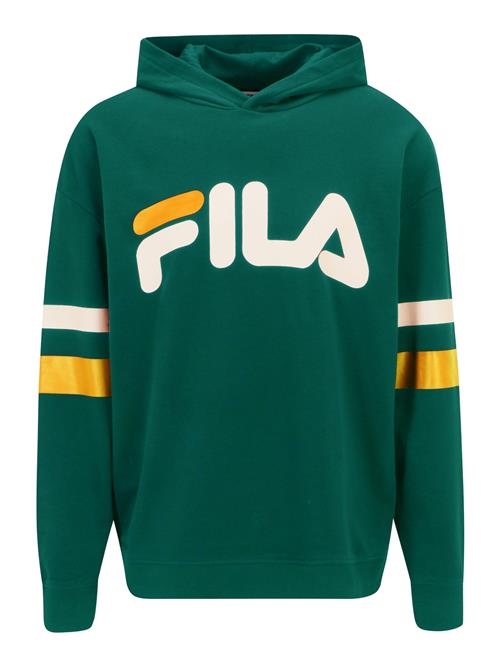 FILA Sweatshirt  smaragd / blandingsfarvet