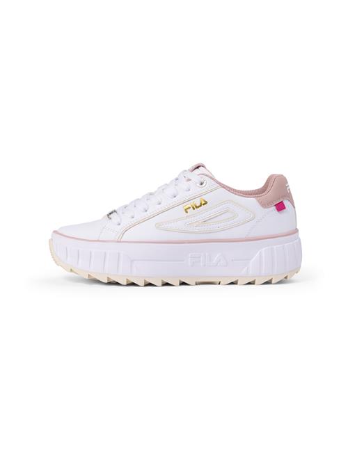 Se FILA Sneaker low 'SINTRA'  guld / gammelrosa / hvid ved About You