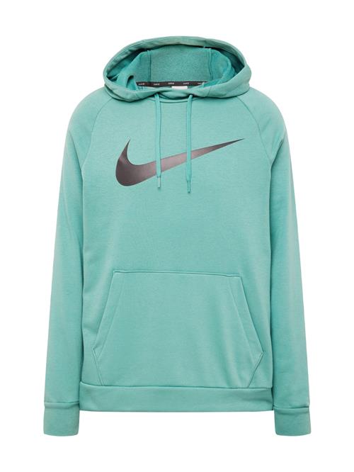 NIKE Sportsweatshirt  jade / sort