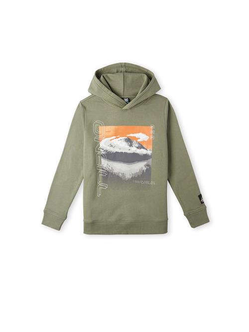 O'NEILL Sweatshirt 'Seaview'  grå / khaki / orange / hvid