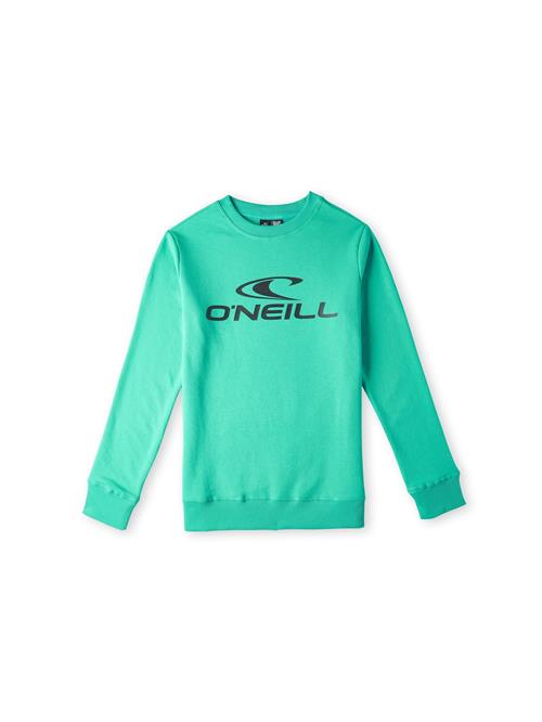 O'NEILL Sweatshirt  grøn / jade / sort