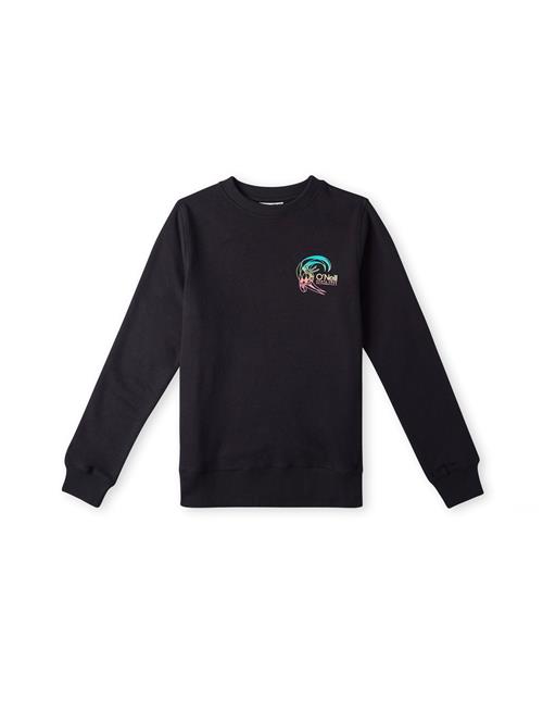 Se O'NEILL Sweatshirt 'Circle Surfer Crew'  blå / pink / sort ved About You