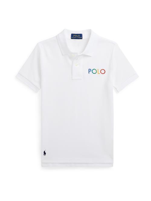 Polo Ralph Lauren Shirts  blå / grøn / rød / hvid