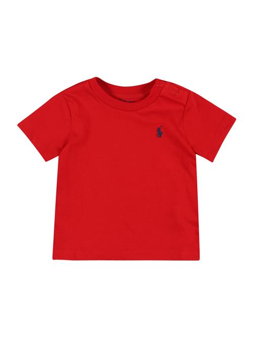 Polo Ralph Lauren Shirts  rød