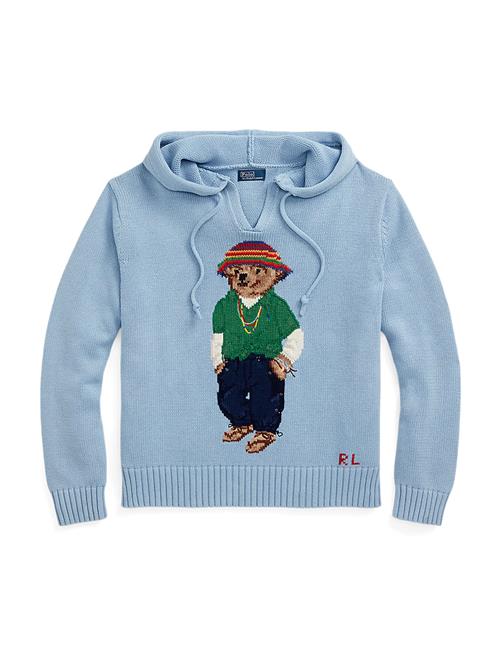 Polo Ralph Lauren Pullover  blå / lyseblå / brun / grøn