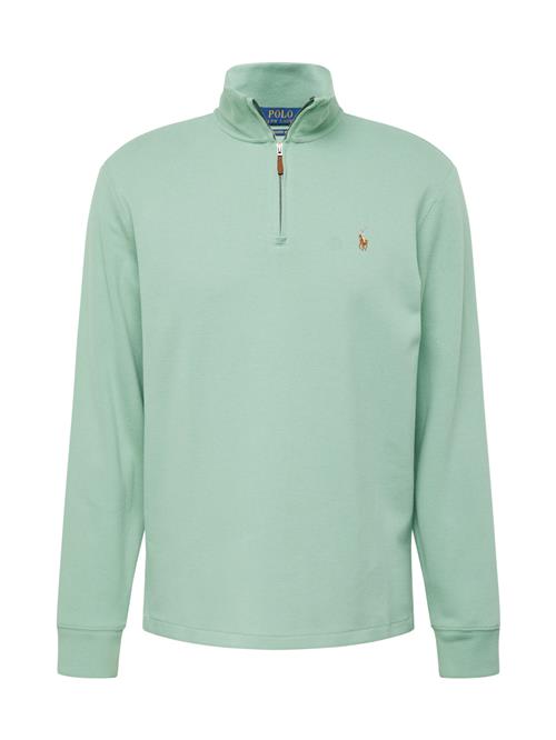 Polo Ralph Lauren Sweatshirt  lyseblå / brun / mint / lyserød