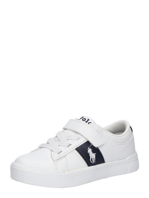 Se Polo Ralph Lauren Sneakers 'FRAZIER'  sort / hvid ved About You