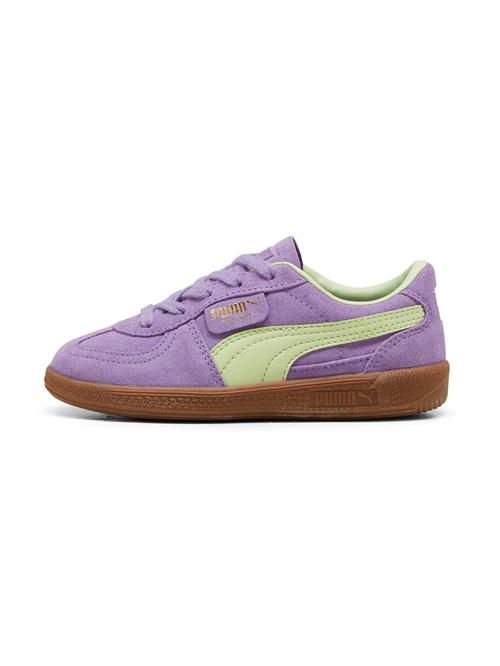 PUMA Sneakers 'Palermo'  lysegrøn / lavendel