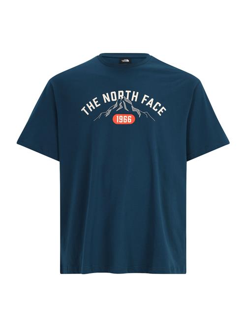 THE NORTH FACE Bluser & t-shirts  grå / petroleum / rød / hvid