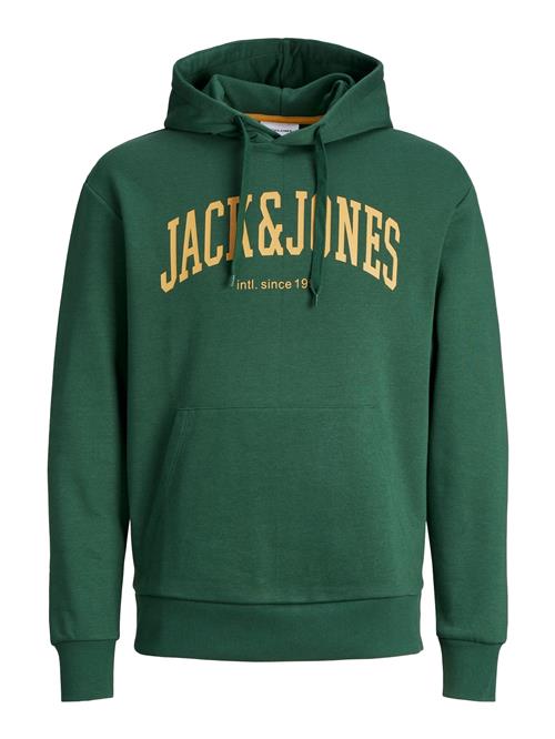 JACK & JONES Sweatshirt 'JJEJosh'  gul / mørkegrøn